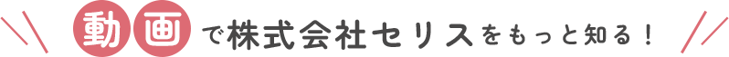 動画で株式会社セリスをもっと知る！